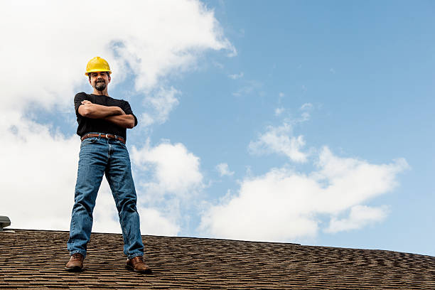 Best Roof Gutter Cleaning  in Ramseur, NC